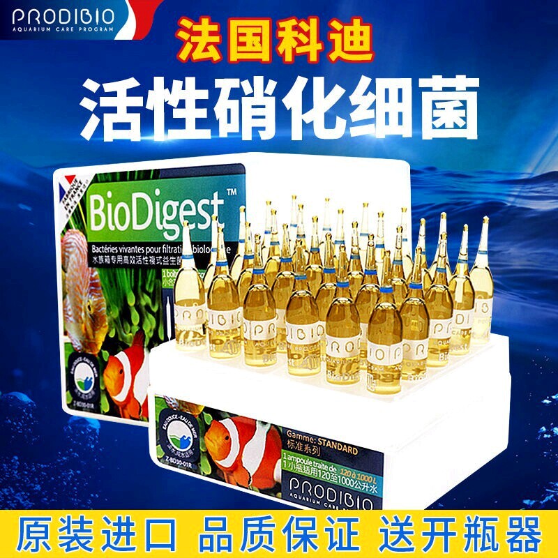 法国科迪硝化细菌淡海水缸净水质