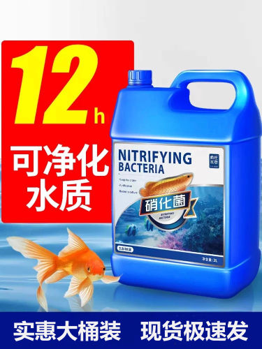 疯狂水草硝化细菌活菌净化水质
