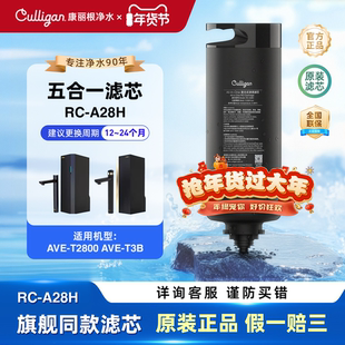 康丽根小黑龙T2800净水器滤芯 配件耗材RO反渗透一体复合滤芯5合1