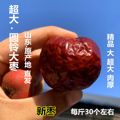 年货山东特产超大圆铃大枣新枣圆领农家特选未清洗孕妇月子枣入罐