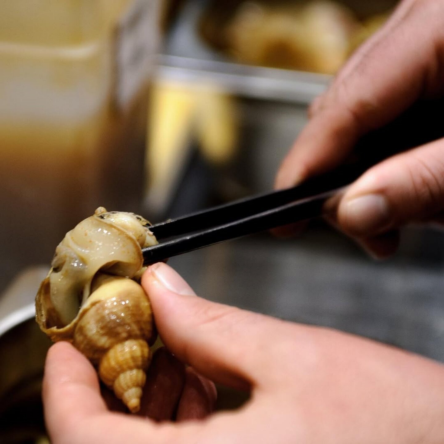 进口爱尔兰熟冻翡翠螺Le bulot北蛾螺即食夜宵冷餐招待海鲜特大号