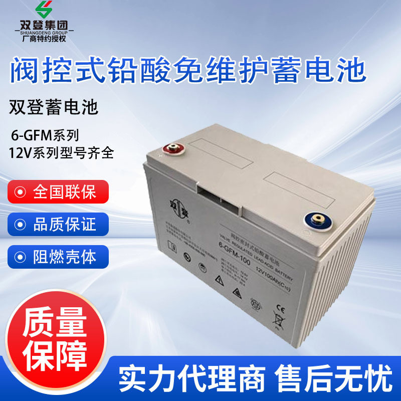 双登蓄电池6GFM10012V40AH65A