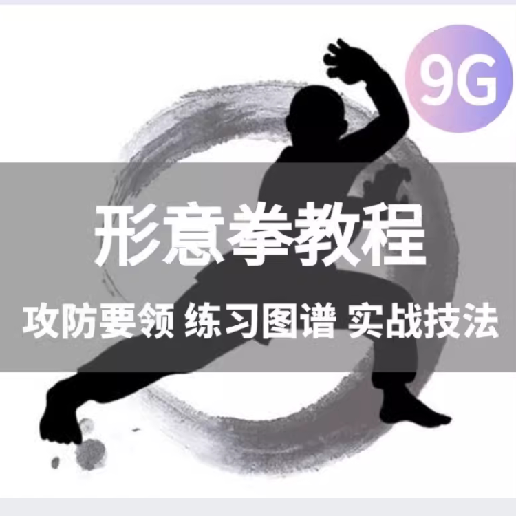 形意拳教学视频入门拳谱十二形全套自学图解五行实战教程心意行意