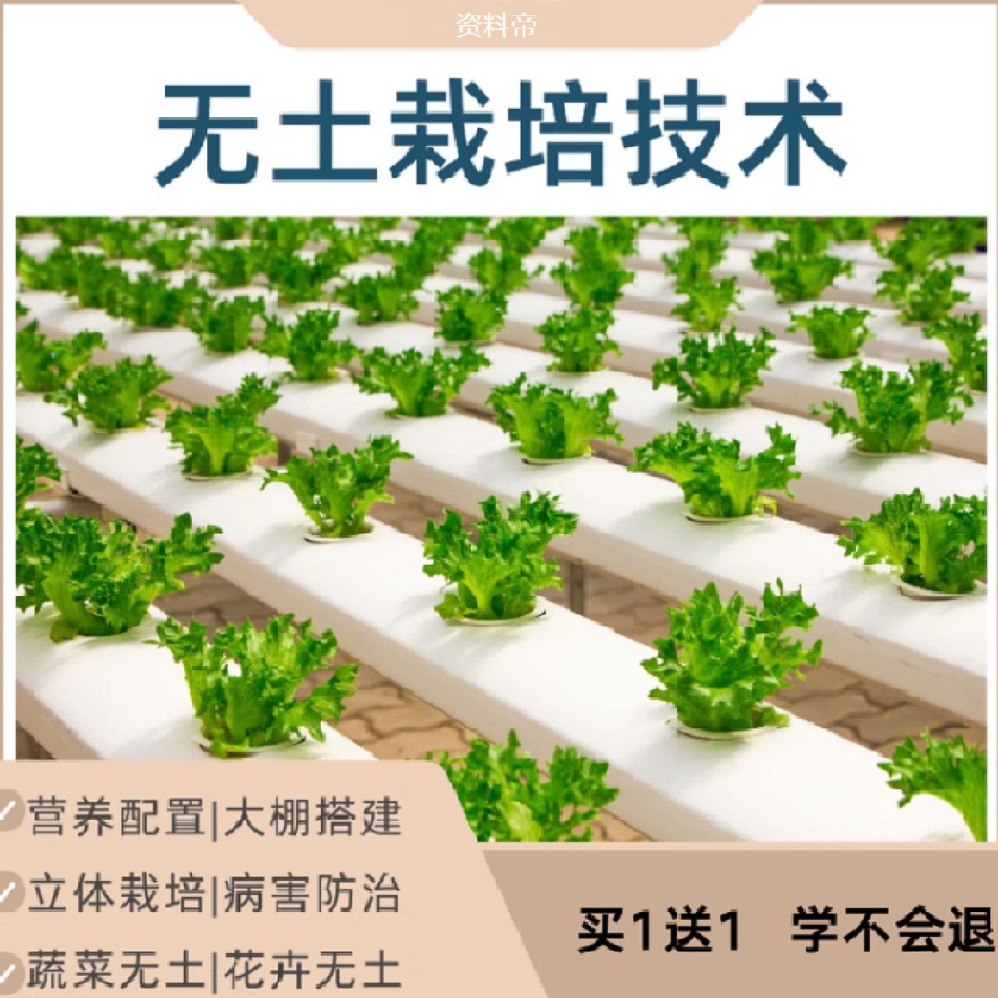 无土栽培技术视频教程营养液配方大棚雾水培蔬菜花卉教自学立体课