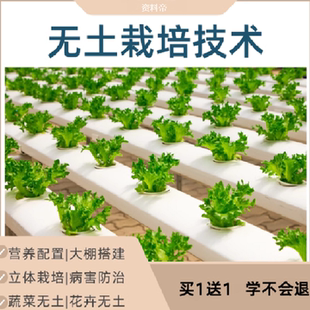 无土栽培技术视频教程营养液配方大棚雾水培蔬菜花卉教自学立体课