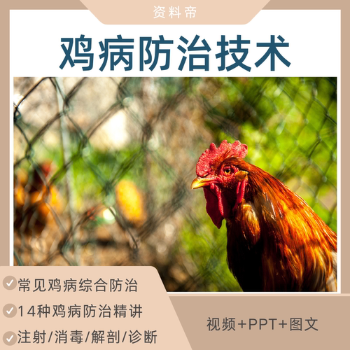 鸡病防治技术视频教程PPT课件大全套诊断常见病预防养鸡养殖培训