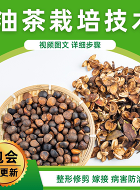 油茶栽培技术视频教程种植嫁接管理修剪油桐病虫害优质高产教学