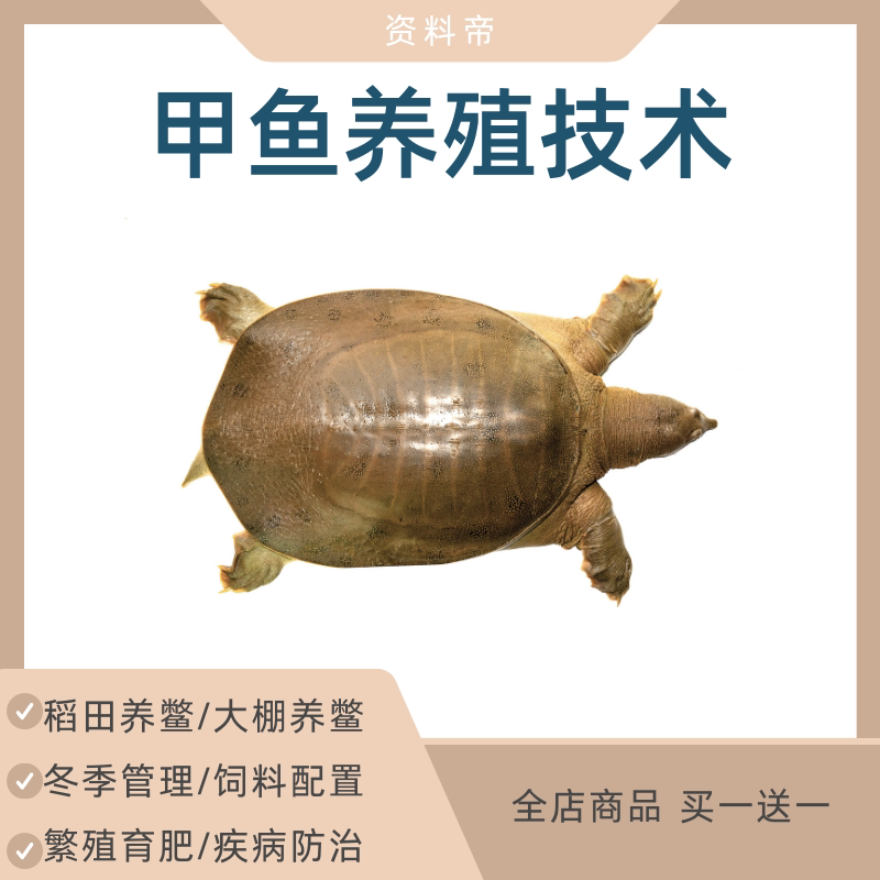 甲鱼养殖技术视频教程饲养育肥温室大棚越冬稻田全套人工养鳖龟