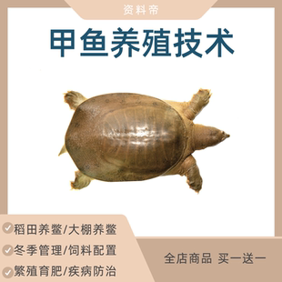 甲鱼养殖技术视频教程饲养育肥温室大棚越冬稻田全套人工养鳖龟