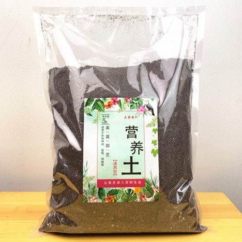 绿园花开营养土多肉盆栽种植