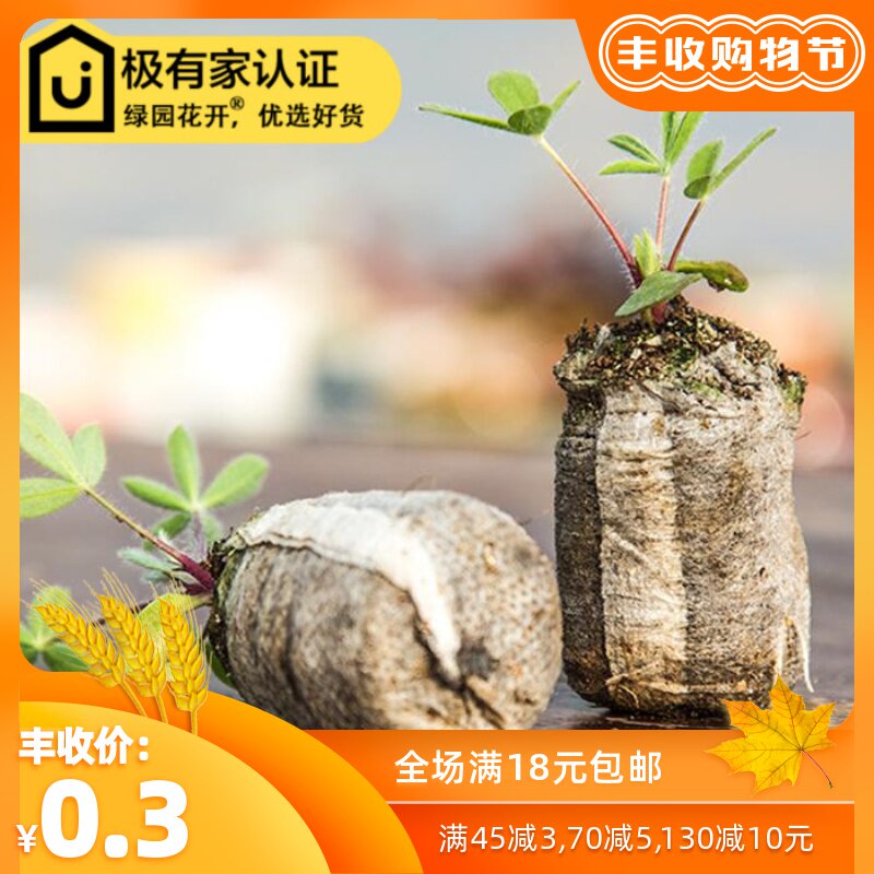 Green flowers grow seedlings Norway diameter 30mm Nursery block compress Peat Magic Nutrient mediumin the Flower delivery/Flowers simulation/Plants gardening , Gardening supplies , Gardening Fertilizer/Nutrient/Nutrient solution  category - from Buy2taobao.com to provide professional Taobao agent buy service