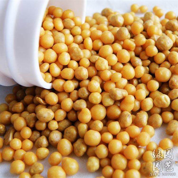 绿园花开 通用型颗粒缓释肥奥绿肥5号花多多1号肉球根花卉绿植肥
