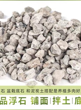 轻石钵底兰石浮石多肉植物花盆栽铺面拌土垫底颗粒石排水透气植料