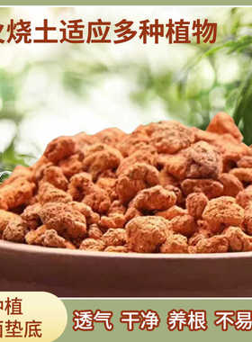 火烧土兰花多肉植料专用颗粒红兰石石斛盆栽花卉营养土铺面垫底