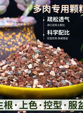多肉专用颗粒营养土彩虹石纯颗粒绿沸石火山石麦饭石虹彩石铺面石
