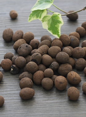 陶立球 卫生间铺面垫底多肉盆栽养殖花卉水培透气轻质陶粒土