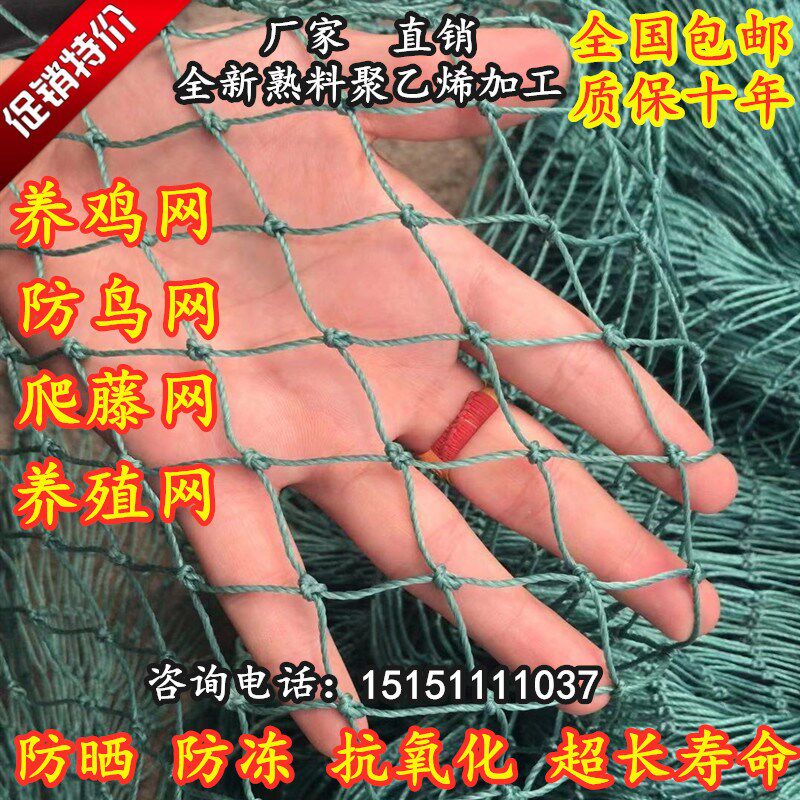尼龙网家禽养殖网养鸡网山鸡网拦鸡网围鸡网防鸟网天网植物爬藤网|ruв категории доставка цветов/цветок моделирования/растения садоводства, садовых принадлежностей, других садовых принадлежностей - от Buy2taobao.com для оказания профессиональной услуги покупки агента Taobao