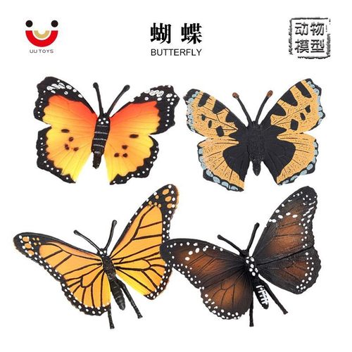 儿童仿真蝴蝶蛱蝶科教玩具摆件