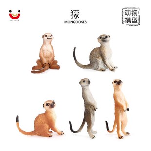 儿童玩具仿真实心野生动物模型狐獴猫鼬灰沼狸细尾獴科教认知摆件