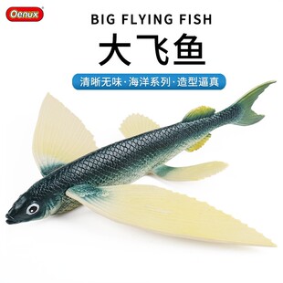 儿童玩具仿真实心大号飞鱼滑翔鱼翱翔鱼科教认知海洋生物动物模型