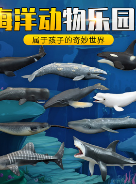 儿童认知玩具仿真海洋动物实心模型鲸鱼海底鲨鱼生物白鲸大白鲨虎