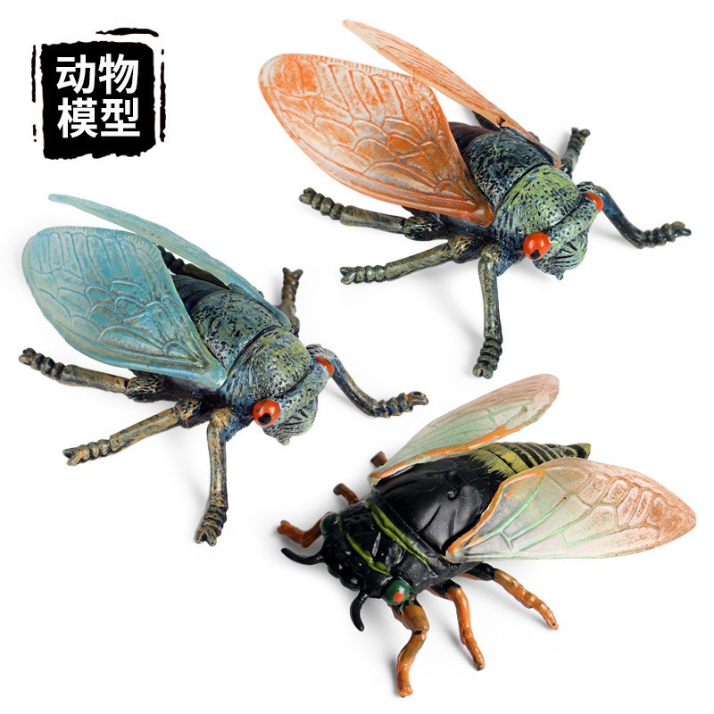 儿童认知玩具仿真野生动物模型早教摆件实心昆虫蝉知了猴金蝉