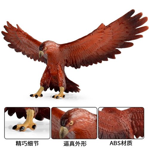 儿童玩具仿真动物模型金雕金鹫野生飞禽鸟类鹰雕大号桌面装饰摆件