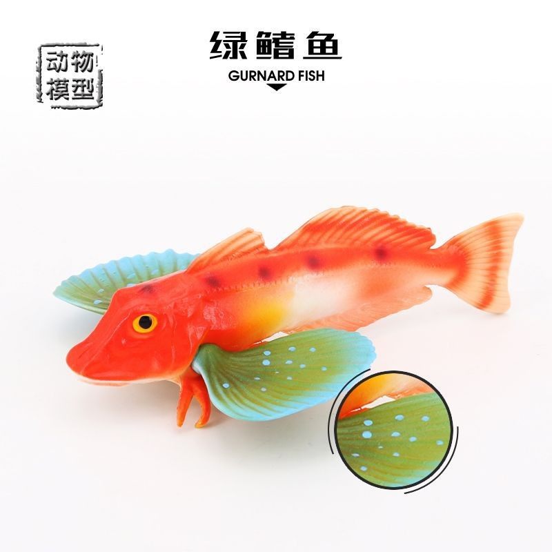 儿童认知玩具仿真海洋动物模型海底生物绿鳍鱼绿翅鱼绿姑鲂鮄模型