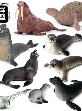 仿真海洋动物模型静态实心海豹海狮海牛儿童早教认知玩具摆件手办