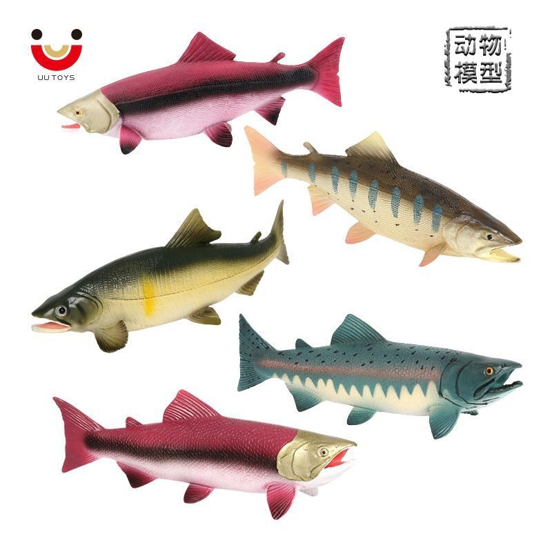 儿童玩具仿真海洋动物模型大马哈鱼鲑鱼三文鱼小摆件宝宝科教认知