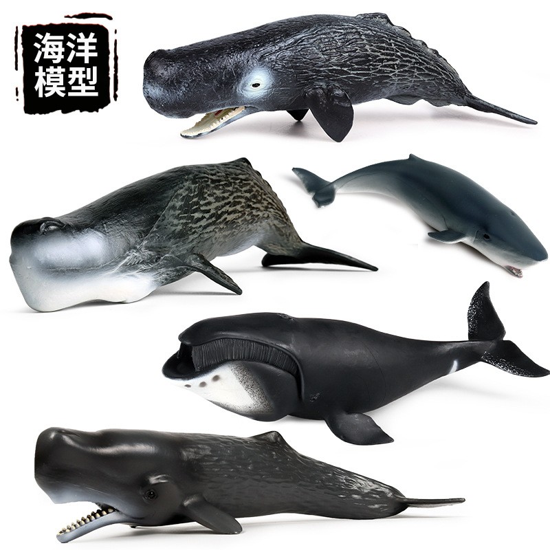 抹香鯨仿真海洋生物模型鯊魚弓頭鯨擺件手辦兒童早教認(rèn)知玩具禮品