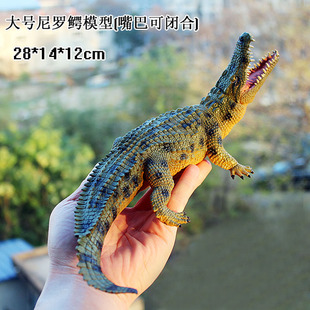 儿童玩具大号鳄鱼仿真动物模型尼罗鳄帝鳄扬子鳄野猪鳄鱼早教认知