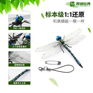 儿童玩具仿真动物模型昆虫摆件大号蜻蜓挂件驱蚊神器早教包包装饰