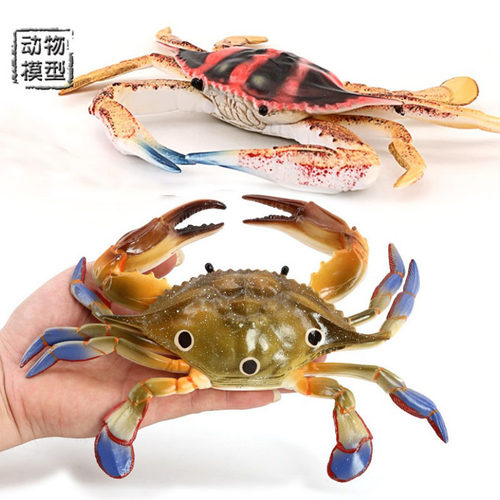 儿童仿真海洋生物模型鱼缸造景