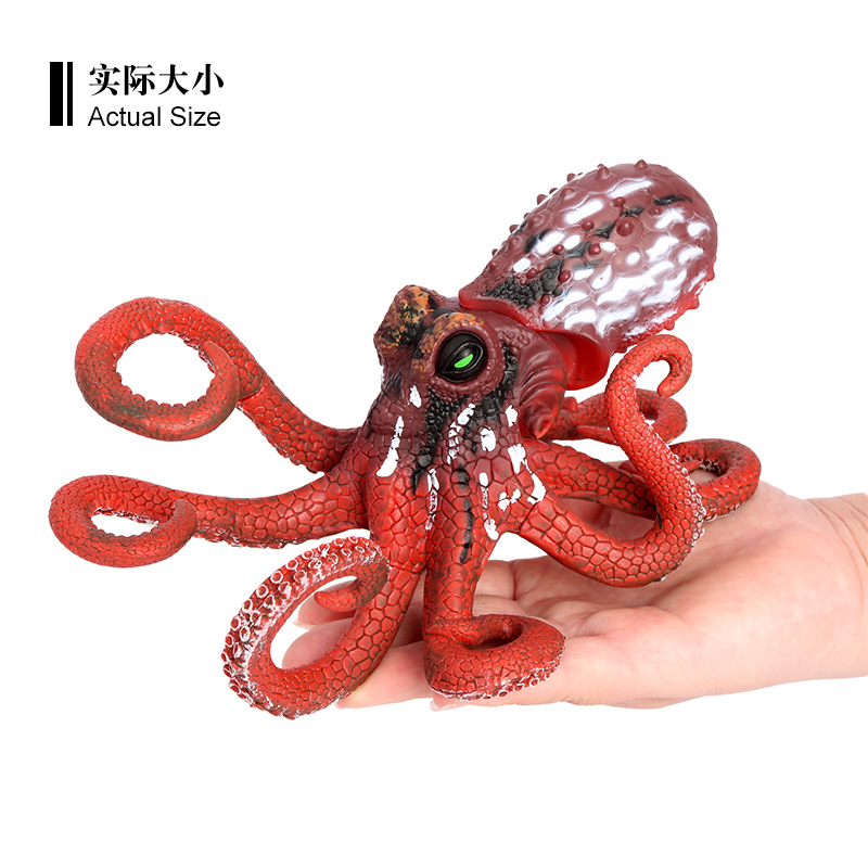 儿童仿真实心海洋动物模型