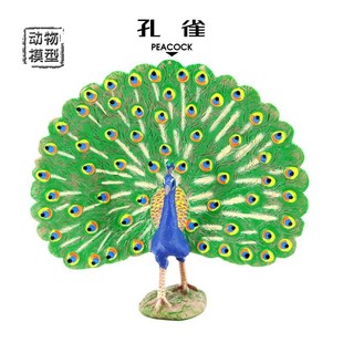 饰摆件早教礼品 仿真动物模型鸟类飞禽孔雀开屏实心儿童玩具家居装