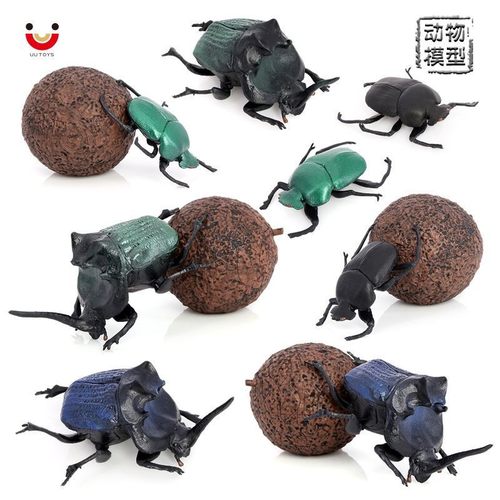 仿真实心屎壳郎模型甲虫