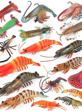 实心海洋仿真虾模型龙虾皮皮虾水生虎虾斑节对虾罗氏虾海虾虾婆婆