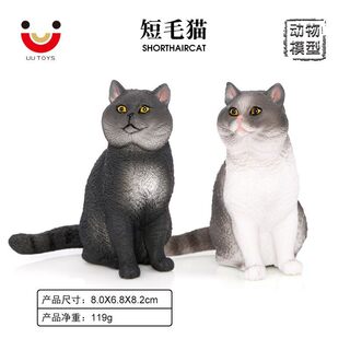 仿真动物模型实心静态家猫短毛猫宠物猫儿童早教认知玩具装饰摆件