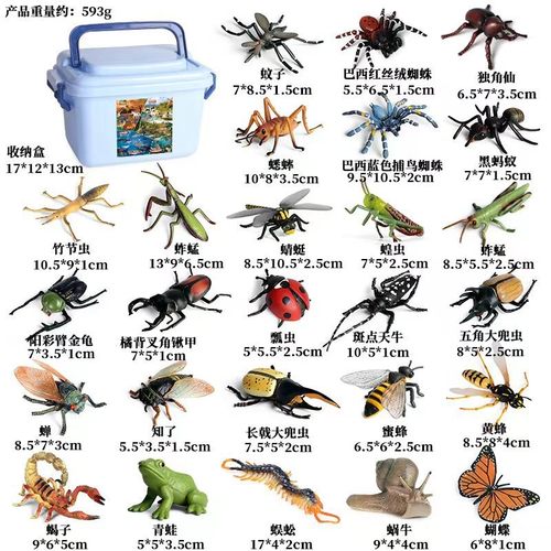 儿童仿真昆虫模型蜜蜂蝴蝶蟋蟀