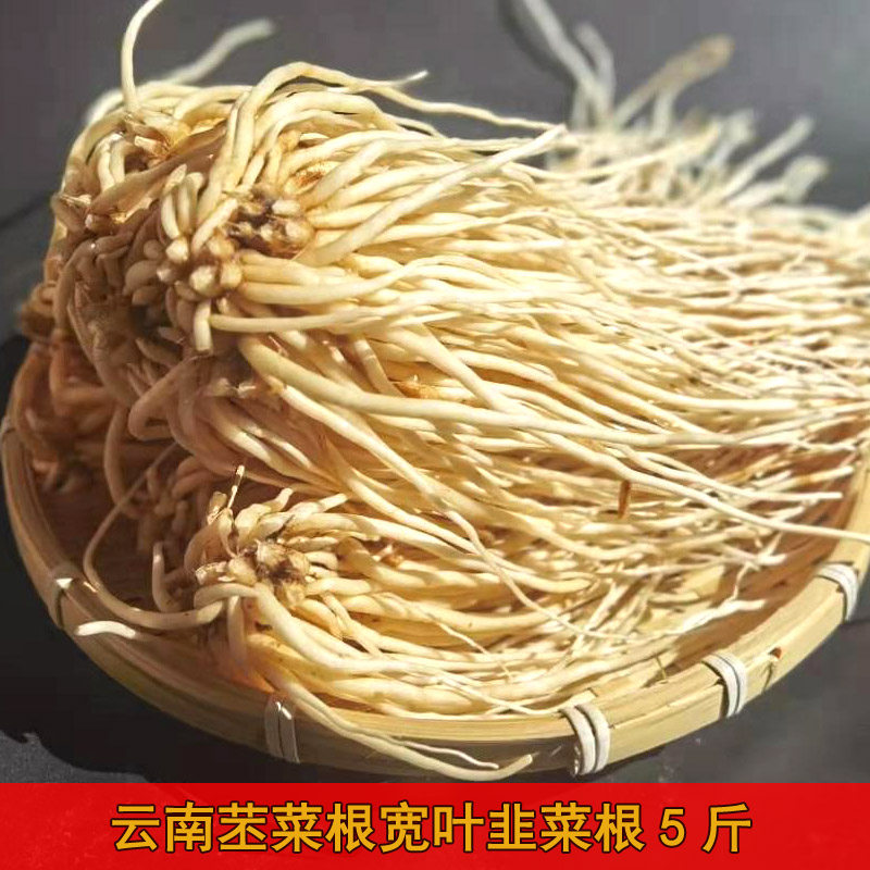 云南佤味苤菜根新鲜宽叶大韭菜根撇根菜苗炖汤做牛皮鸡脚腌菜种植