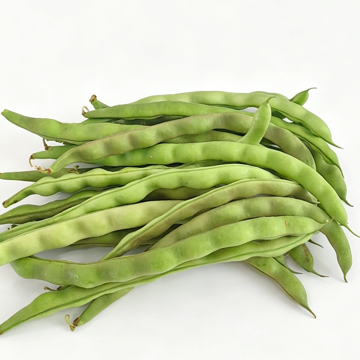 新鲜四季豆云南农家自种现摘现发豆角豆子