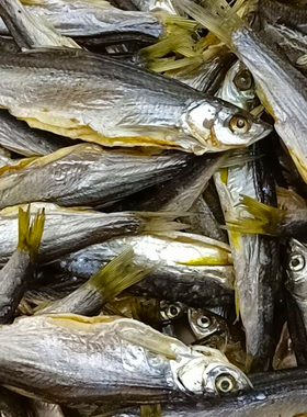 东北鱼干每份500g包邮淡水河青灵鱼干整条白票子油炸酱炖半干鱼干