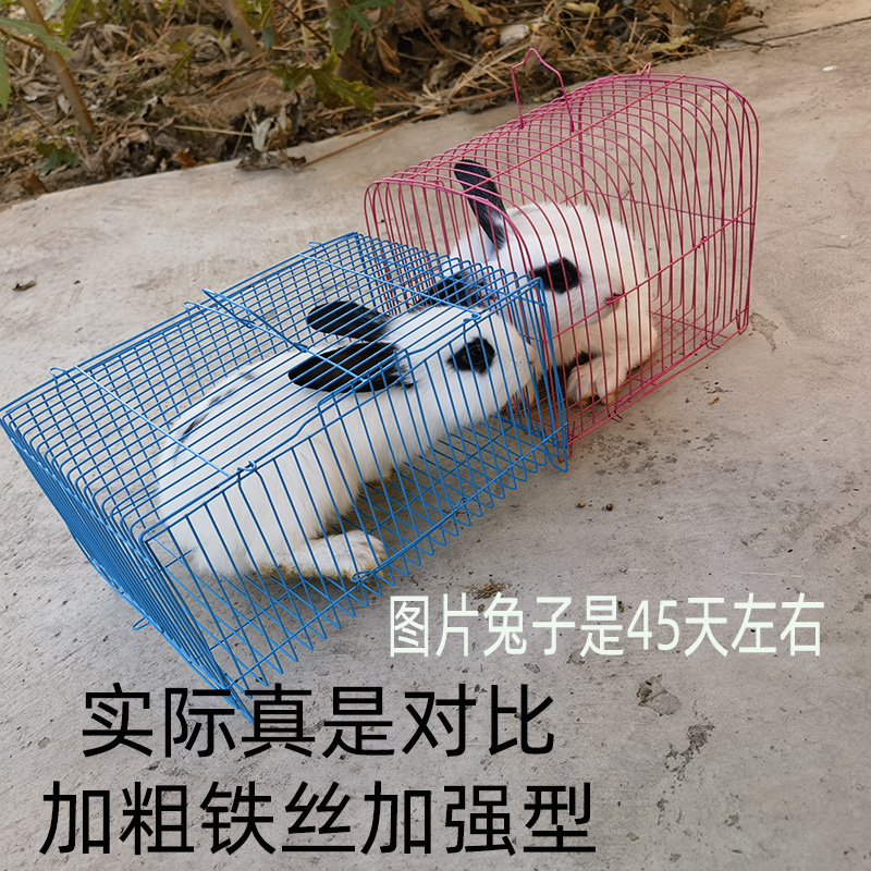 运输笼子快递笼子鹦鹉快递套圈笼