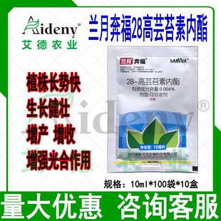 兰月奔福28高芸苔素内酯白菜促生长调节生长健壮增产增收加强营养
