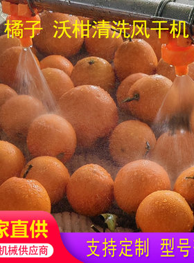 橘子脐橙清洗风干机一台也是批发