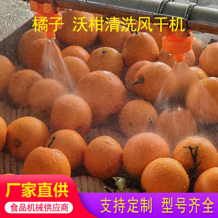 脐橙清洗机会柑子甜橙高压喷淋机厂家直销沃柑橘毛辊毛刷清洗设备