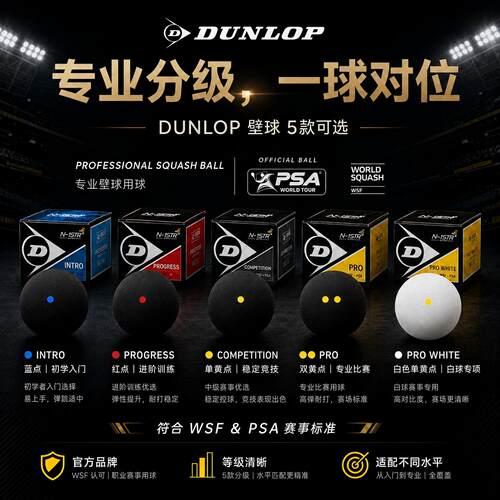 邓禄普dunlop职业比赛双黄点壁球
