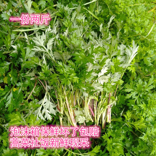 现采野蒿菜黔东南特产新鲜野菜苦蒿青蒿清明社饭食材特惠热销包邮