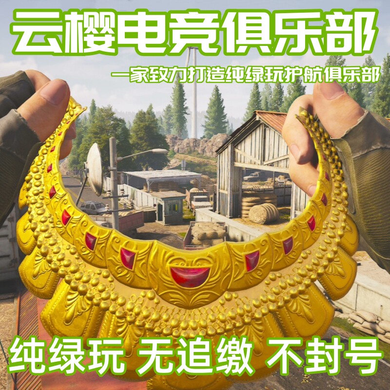 纯绿玩暗区突围无限pc护航端游清图保镖三护大金机密单国服国际服图片